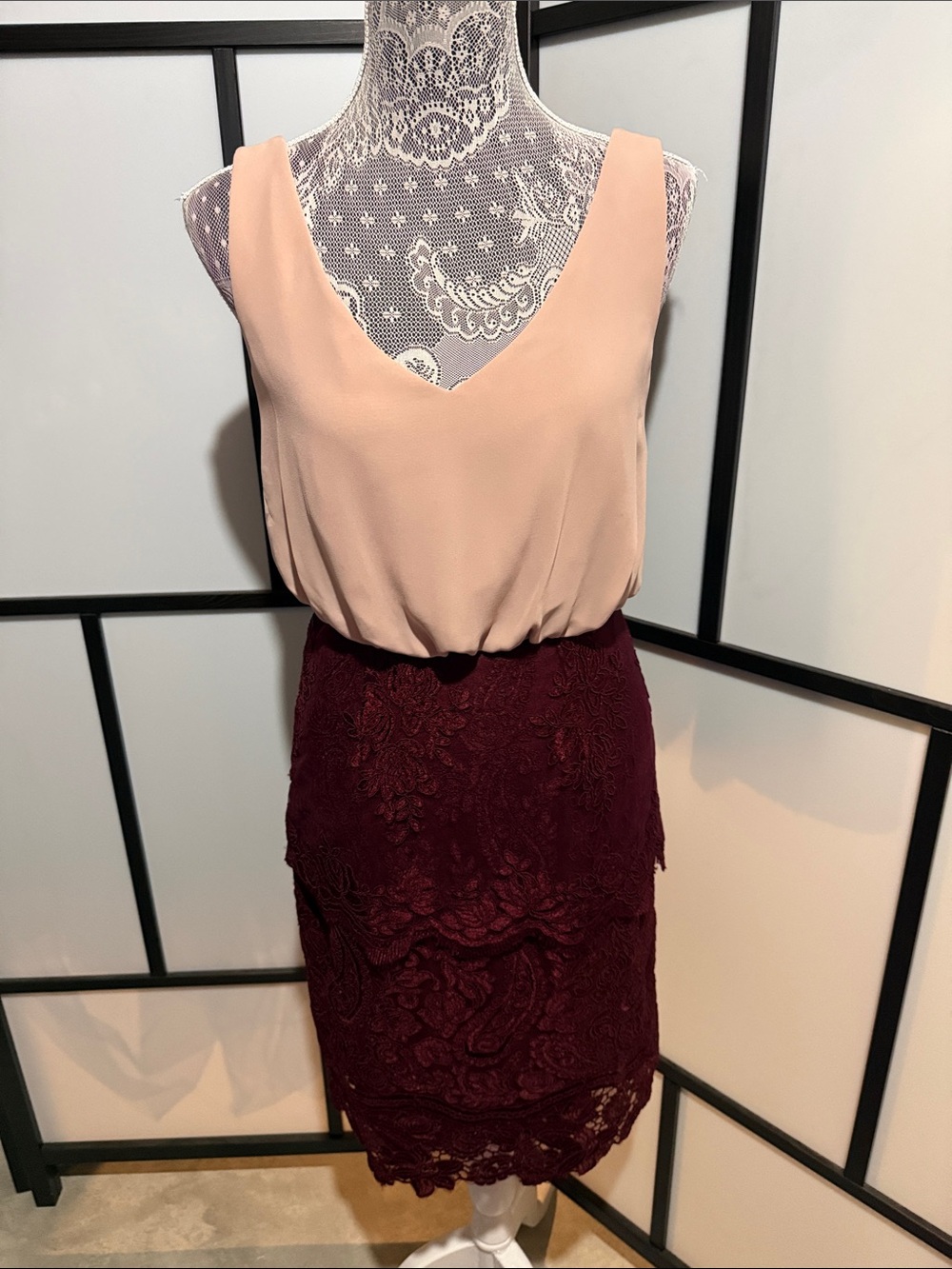 Reiss Blush Pink and Burgundy Lace Mini Dress